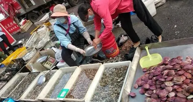 三九天这3种海鲜最肥美，墨鱼豆栉孔贝海葵，便宜别错过