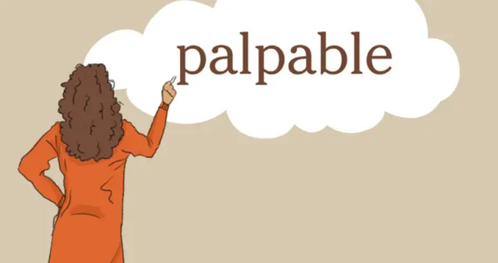 纽约时报高频词：palpable