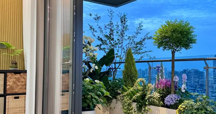 我为什么不建议你封阳台？