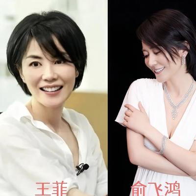 温州小Q：歌手王菲