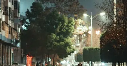 老人推着已故老伴的轮椅故地重游