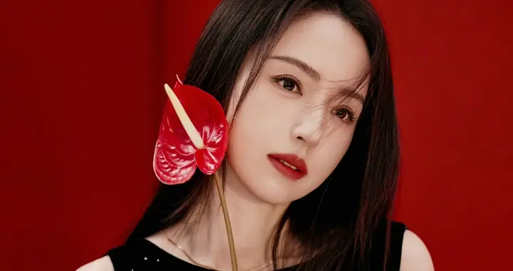 董璇气质真是绝了！一袭黑裙曲线优美，成熟风情藏不住！