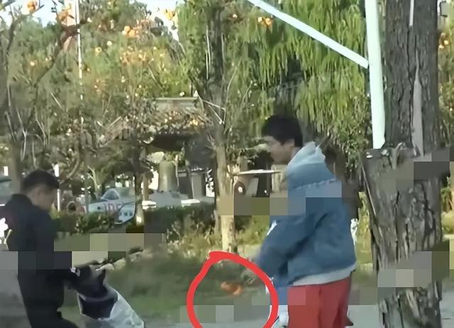 王传君带女儿公园里摘柿子，遭工作人员阻止后，交罚款也要摘柿子