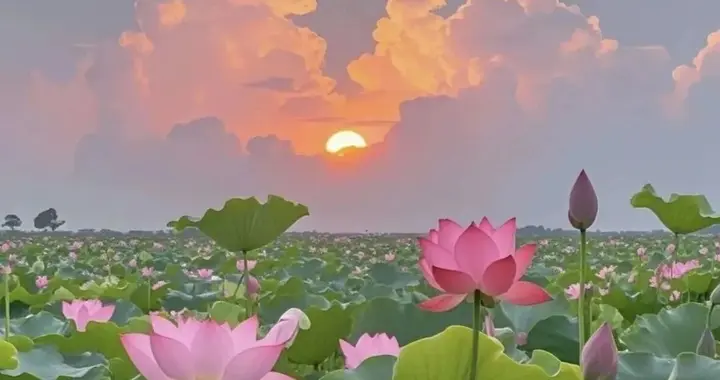 36条成年人社交潜规则