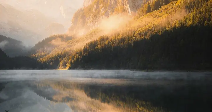 中国新能源车出口彻底爆发！