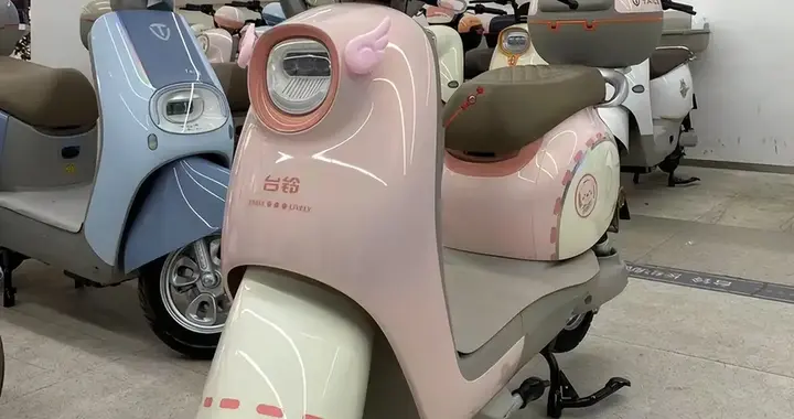 跑了 5 家电动车门店我才懂：台铃、爱玛怎么选，别只盯着品牌名气