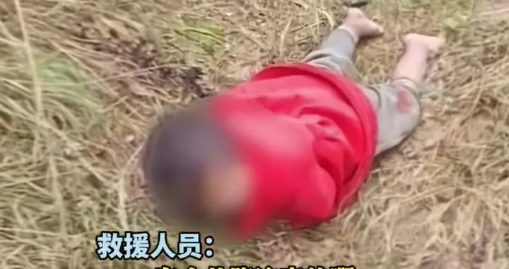 辽宁4岁在自家面包车走丢女孩已找到，东北真安全