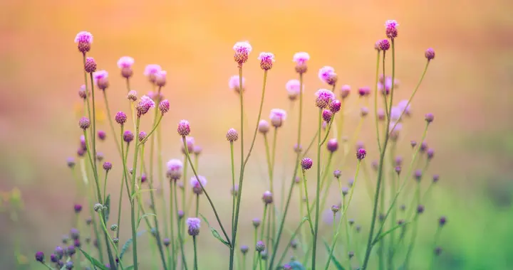 离婚三年，前夫用一套房求复婚，我笑着拒绝：我的幸福与你无关