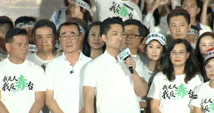 郑丽文连声怒吼，现场二十万人高呼响应，这次民进党麻烦大了
