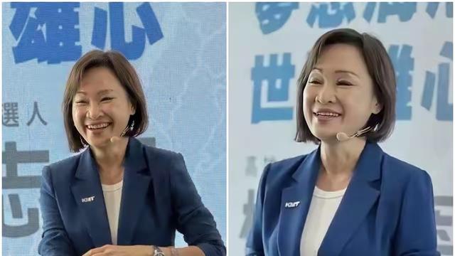 城中漫游走的过客：真没想到啊，国民党主席