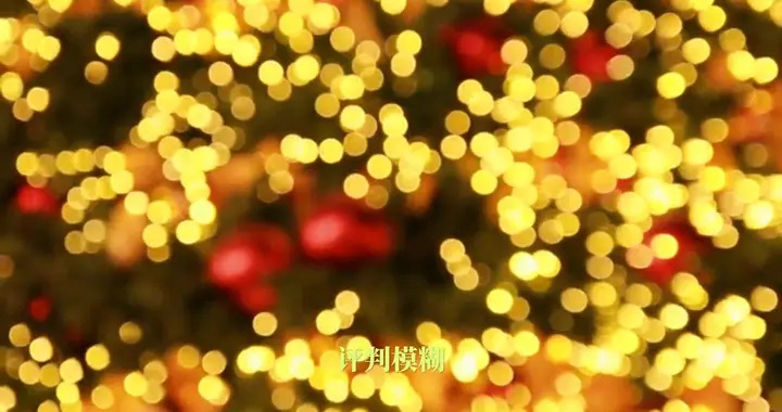 人是行走的价值评判体系