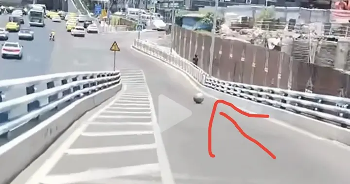 石球滚落瞬间，出租车这一挡，让多少人看懂了什么叫“下意识”！