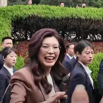 匠心独运，笔下生辉：你敢相信吗？郑丽文快