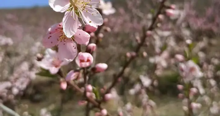 AI时代，如何修身为本？老方说：我的一天是这样做的（诸君共勉）