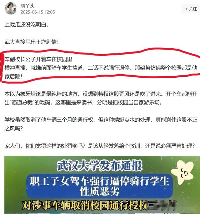 武汉大学“辛副校长”为何受到“口诛笔伐”，真相让你意想不到！