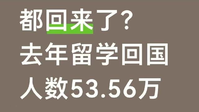 眯眯眼才能看清数据：都回来了，2025年