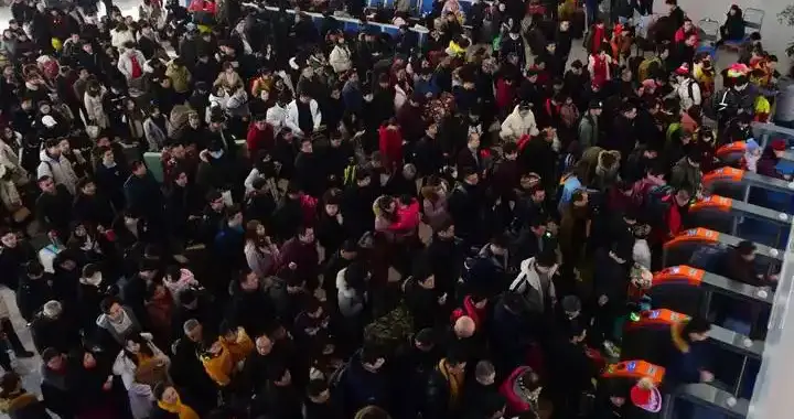 全国出生人口断崖：21年1062万人，24年954万，25年令人意想不到