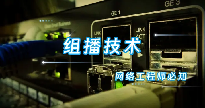 一次讲透这4种二层组播技术