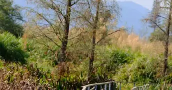 帝寒金温 | 秋天像鸡一样活着，省钱还养身