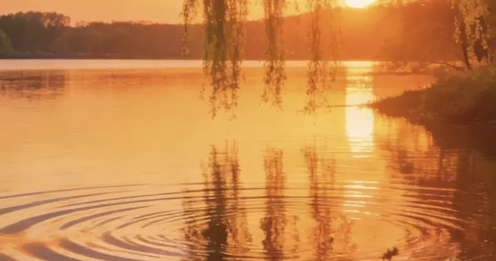 风携春信叩枝头，温柔揉进新生光景里