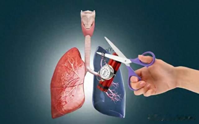 冬天的“沉默刺客”：它不敲门，却可能在下一秒夺命