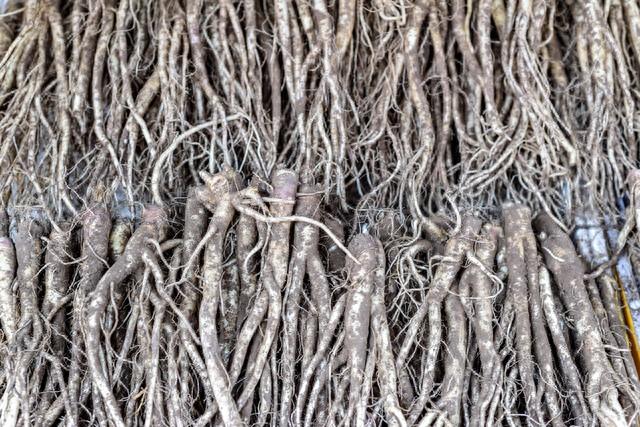 小便是肾的告知镜，出现这四种小便，是肾脏在警告，赶紧调养！