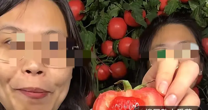 别把消费者当傻子！“草莓西红柿”骗局，戳穿直播带货的无耻底线