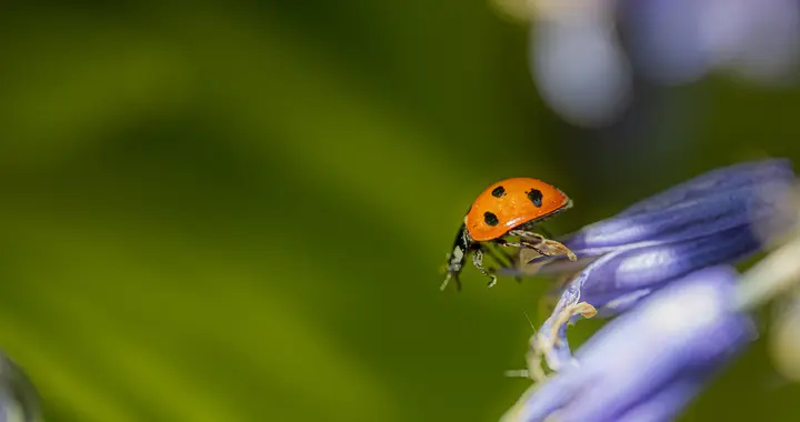 “这人不行，就换掉”，是公司最昂贵的想法