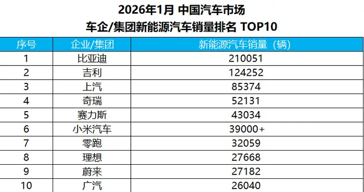 比亚迪稳坐1月新能源汽车销冠，领先身位进一步扩大
