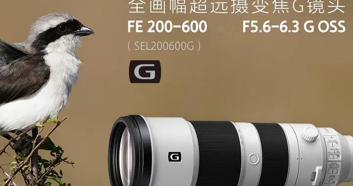 索尼拍鸟长焦镜头选哪个？260G？328GM？480G？