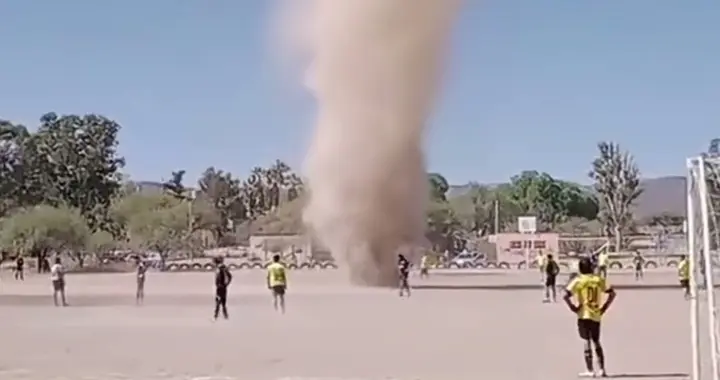 球场上来了不速之客，让球员有幸踢了一场追风的球