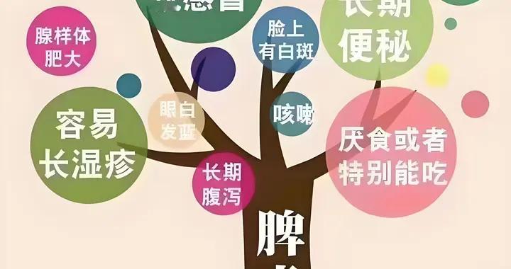脾胃为五脏气血生化之源！四大养脾要诀，调和五脏阴阳、百病不生
