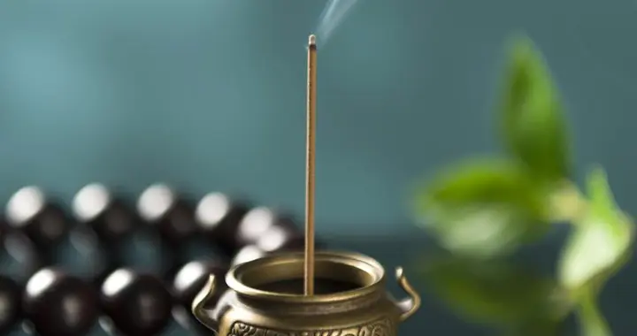 真正的聪明人，都懂得顺势而为！