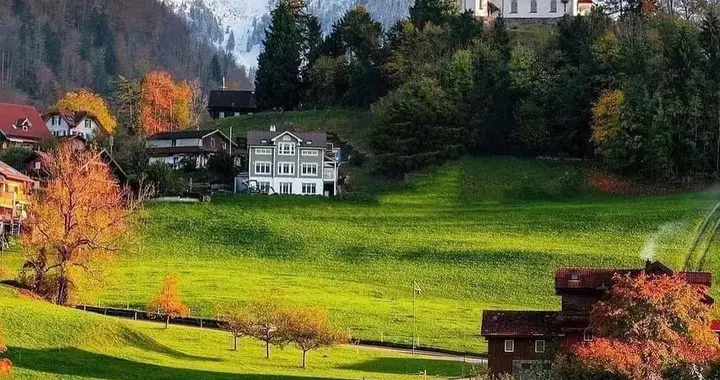 一位火葬场师傅的话当头棒喝：莫道老来方学道，孤坟多是少年人！
