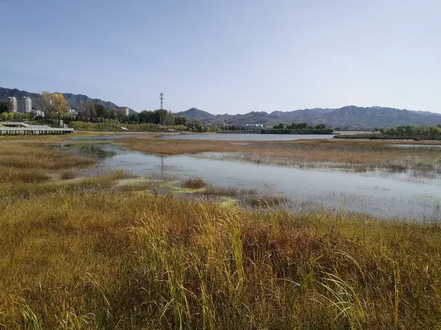 清水河县历史上的水灾