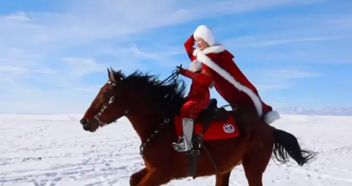 红袍映雪处，塔影照初心——悼念贺娇龙同志