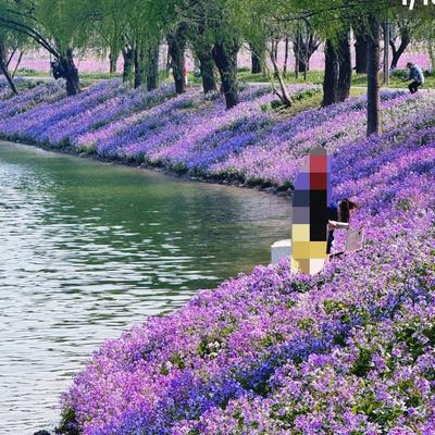 好人品谈楼市：北京二手房市场这波热度到底