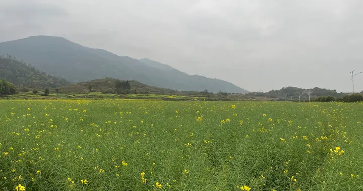 转债通过与注册：加速了！