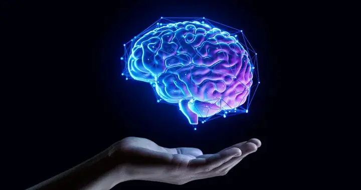 脑部扫描揭示入睡前几分钟的惊人“临界点”