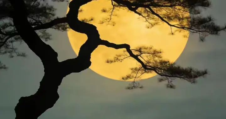 为何说现代人，佛经一辈子都不可能读懂一句？