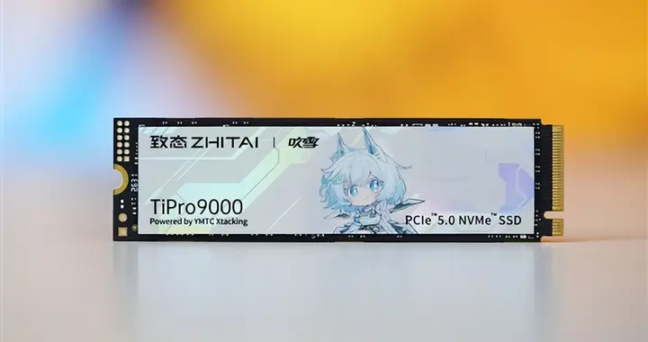 吹雪海景房专属！长江存储致态TiPro9000吹雪联名版图赏