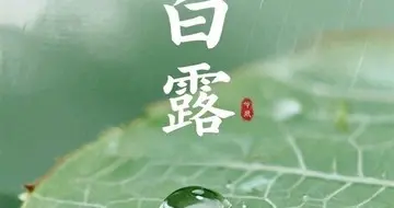 明日白露，“早白露，冻死老牛；晚白露，单衣过九”，冬天冷吗？