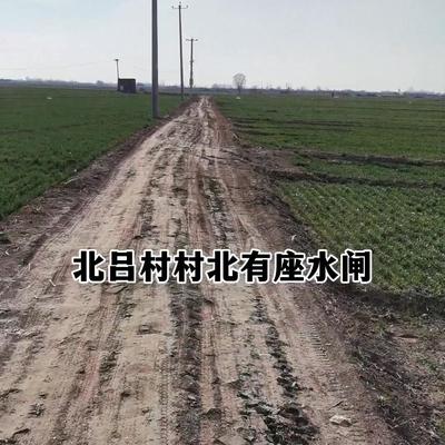 历史上那些人那些事儿：本来想找北吕村的水