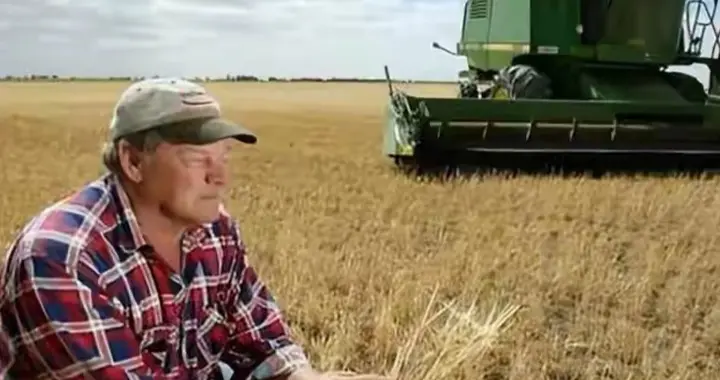 美国农场主为何向中国求救？一场化肥危机背后的全球农业变局