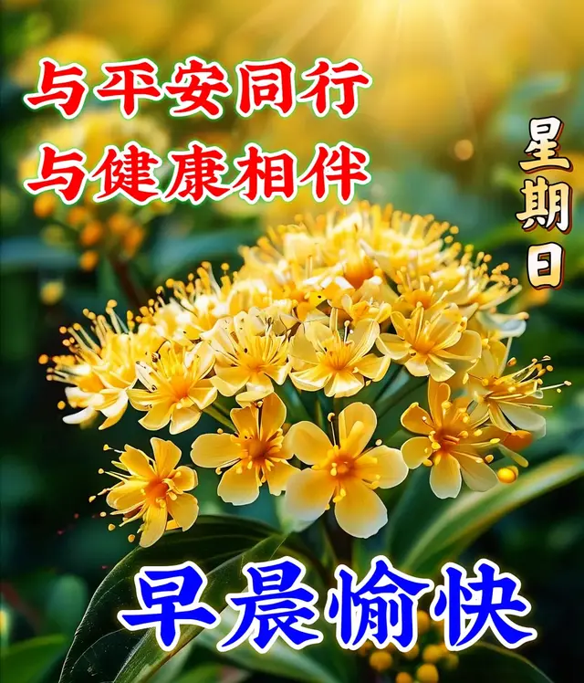 9月29日周日早上好,精选早上好温馨祝福图片带字,群发问候祝福语