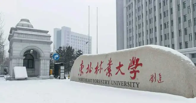 重磅！东北林业大学肇东新校区已定！网传松北换地全是谣言