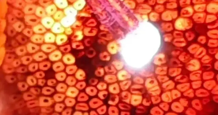 老犀角手串怎么分辨真假？