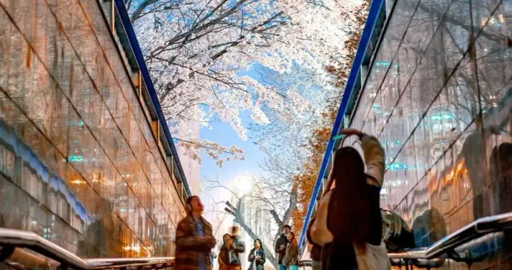 免票的“5A级景区”：绿化带何以“逆袭”