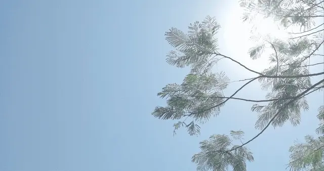 老话“初二是晴天，寡妇不用愁”，是啥意思？晴天有啥预兆？