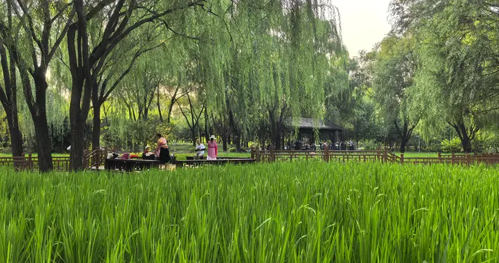 54岁博导占资1.9亿被批捕，帕瓦股份股民索赔登记开始